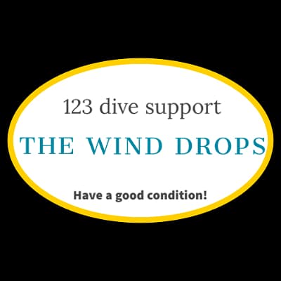 ザ ウインド ドロップス