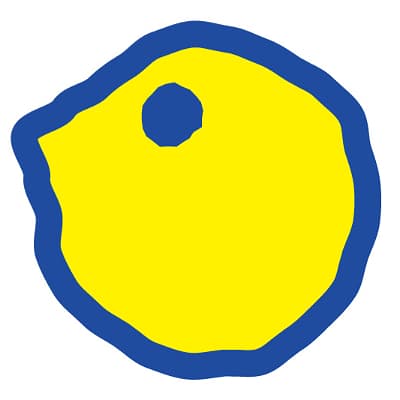 ザ　ダイブファクトリー東京店