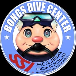 Bongs dive logo