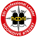 Hoonidive logo