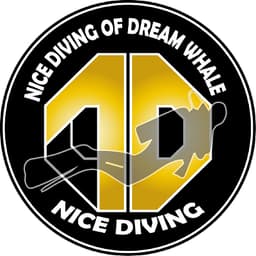 NICE DIVING logo