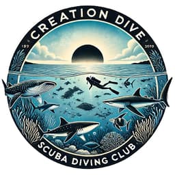 CREATION DIVE logo