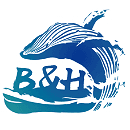 蓝洞潜水俱乐部（常州） logo