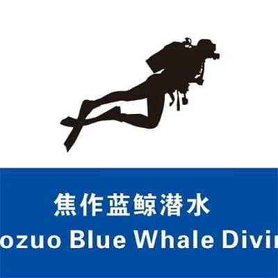 蓝鲸潜水