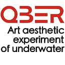 QBER logo
