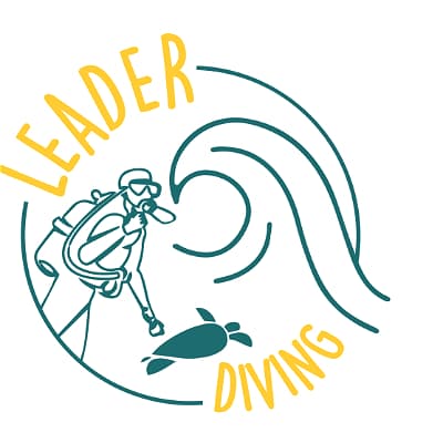 LeaderDiving School