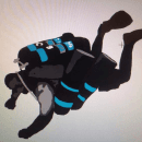 SANCTUM DIVING UNLIMITED logo