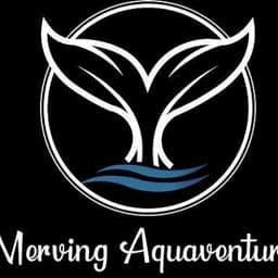 Merving Aquaventure logo