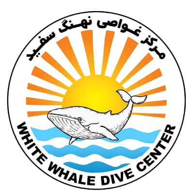 White Whale Dive Center