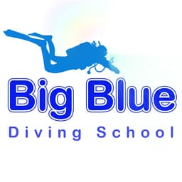 Big Blue Diving School logo