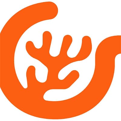 REEF COLLECTIVE Cozumel Divers