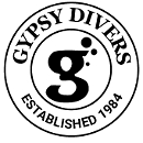 Diventures Raleigh logo