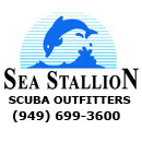 Sea Stallion Scuba Outfitters logo