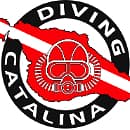 Diving Catalina logo