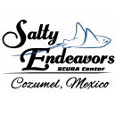 Salty Endeavors logo