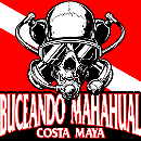 Buceando Mahahual logo