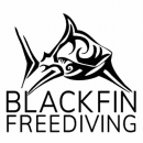 Blackfin Freediving