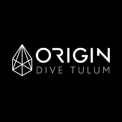Origin Dive Project