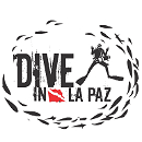 Dive in la Paz