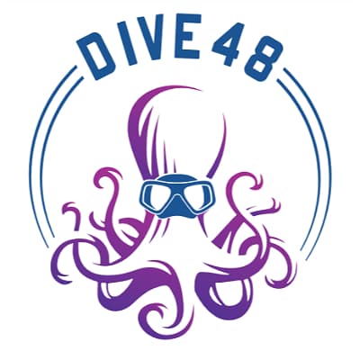 DIVE 48
