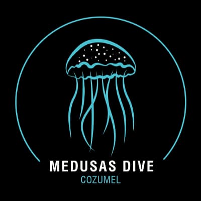 Medusas Dive