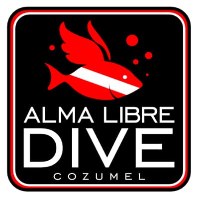 ALMA LIBRE DIVE CENTER