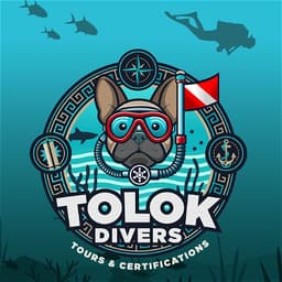 Tolok Divers Mexico logo