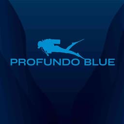 Profundo Blue logo