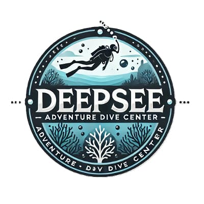 DeepSee Adventure