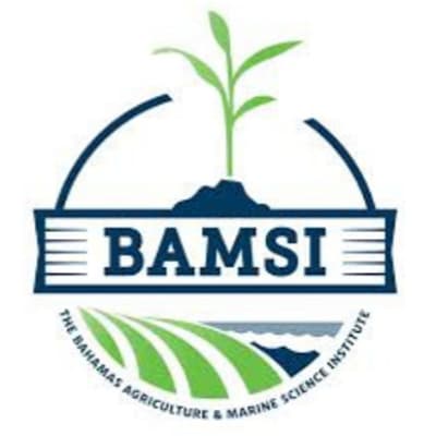 BAMSI