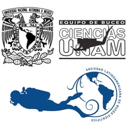 SOCIEDAD LATINOAMERICANA DE BUCEO CIENTIFICO logo