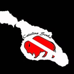 Catalina Scuba logo