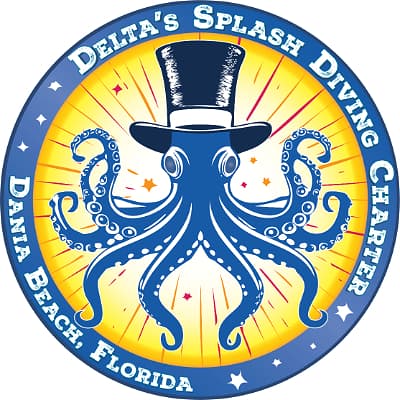 Delta’s Splash Dive Charter