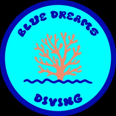 BLUE DREAMS DIVING