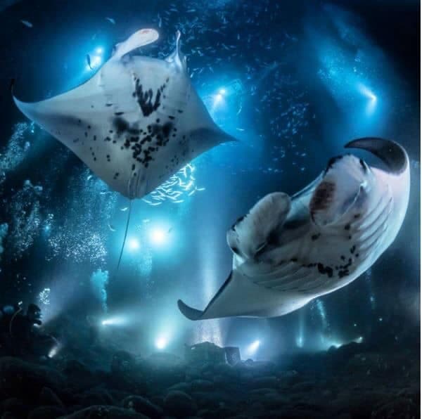 Planet Scuba School Ltd