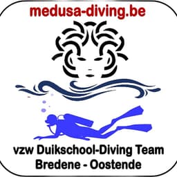 Medusa logo