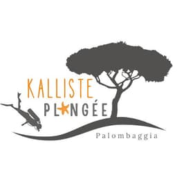 KALLISTE PLONGEE logo