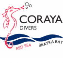Coraya Divers Brayka Bay logo