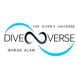 The Divers Universe logo