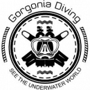 Skyros Diving logo