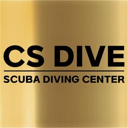 CS DIVE logo